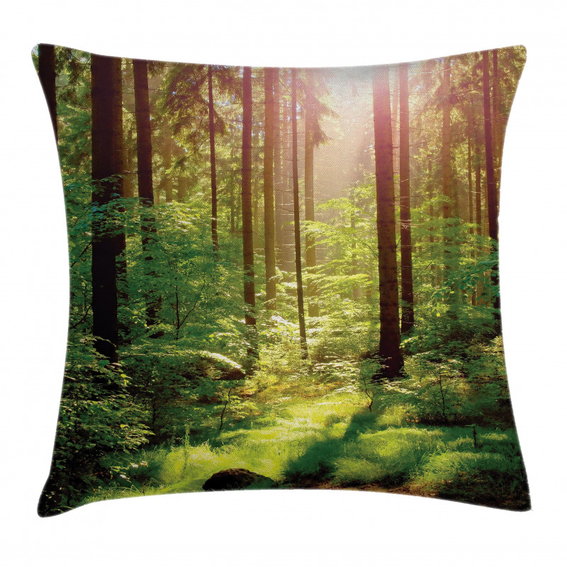 Sunset Moss Woods Trees Pillow Cover