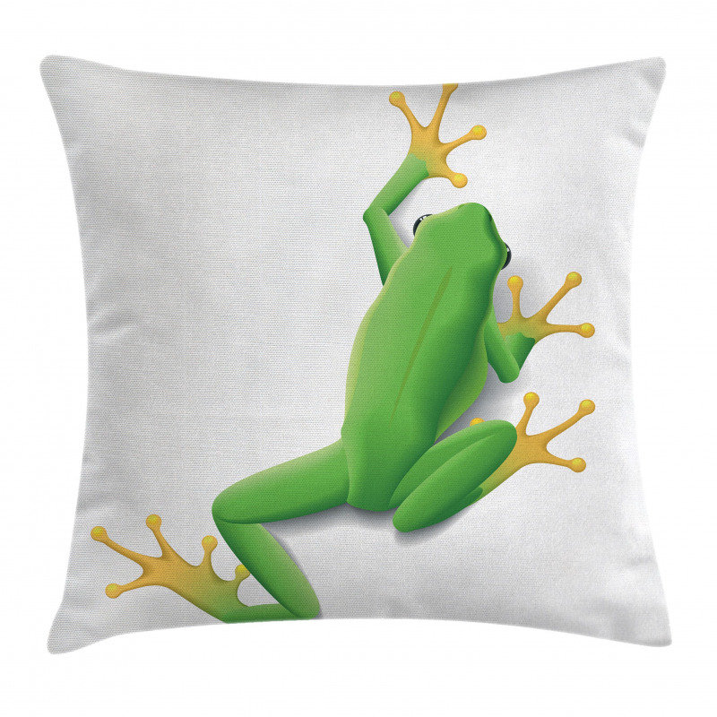 Tropic Frog in Nature Pillow Cover