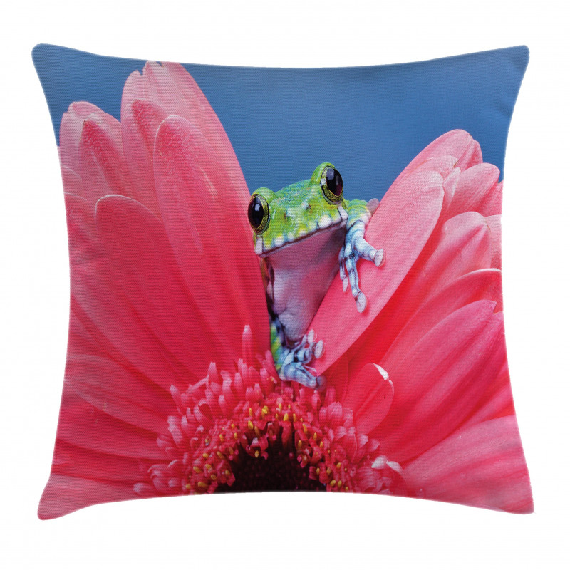 Frog on Gabera Flower Pillow Cover