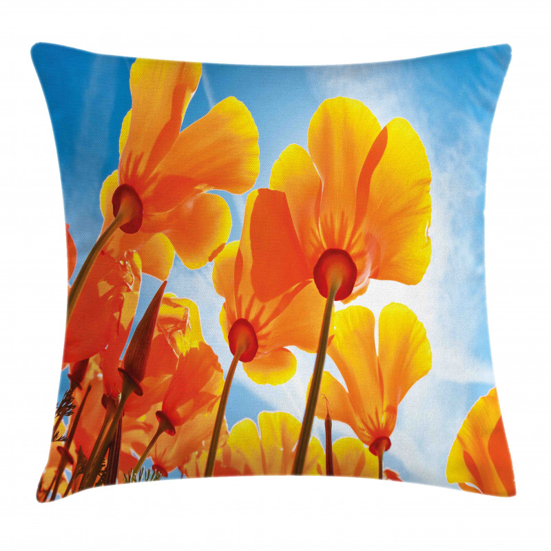 Petals Tilt Shot and Sky Pillow Cover