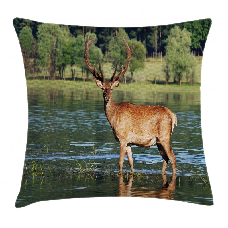Mountain Animal in Water Pillow Cover