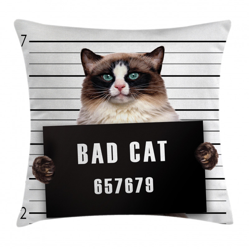 Jail Kitty Under Arrest Pillow Cover
