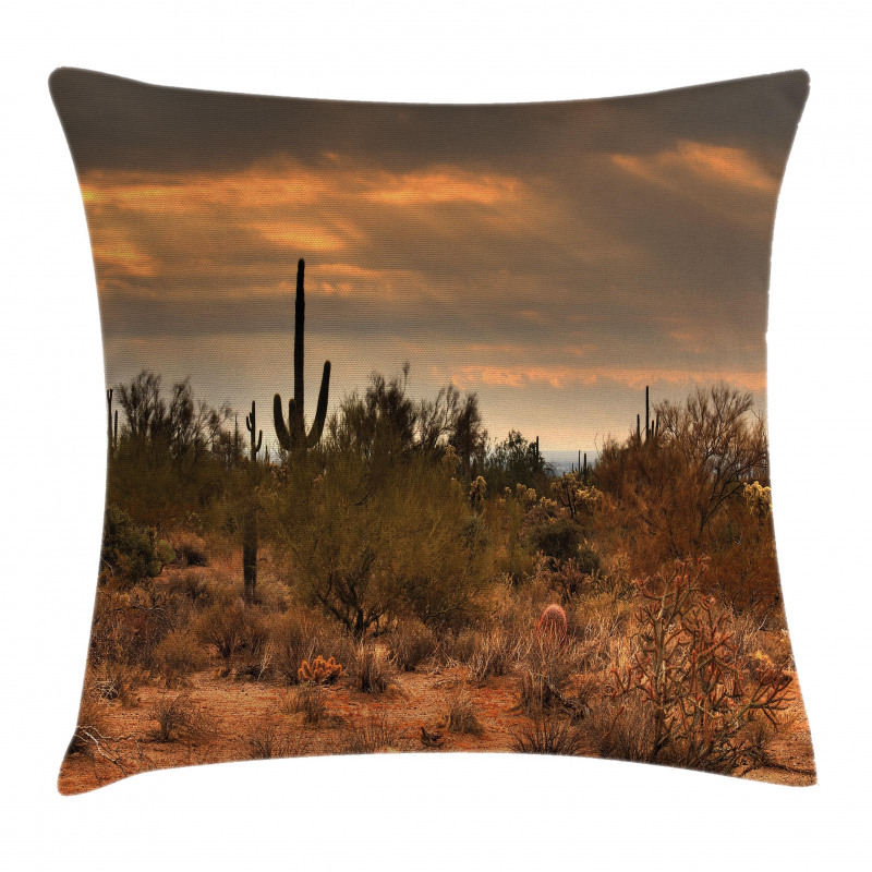 Dramatic Shady Desert Pillow Cover
