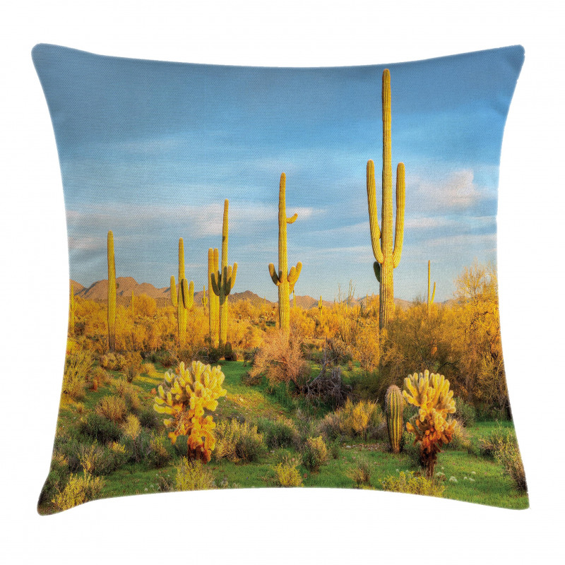 Sonoran Desert Blooms Pillow Cover