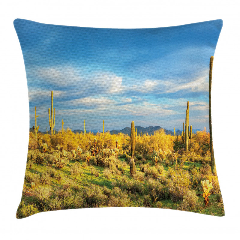 Western Cactus Spikes Pillow Cover