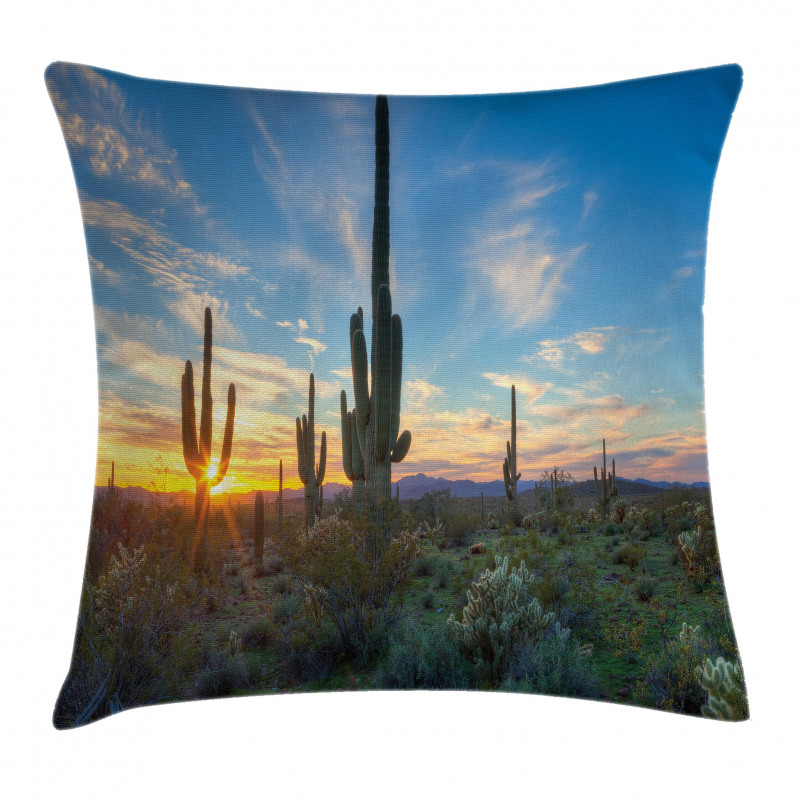 Cactus Noon Pillow Cover