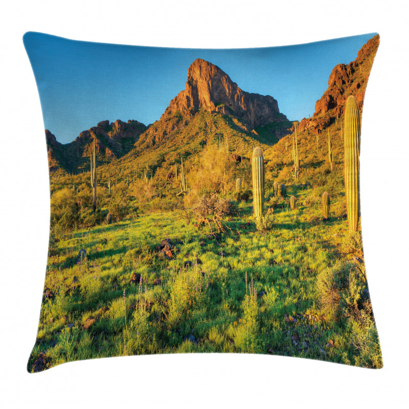 Picacho Peak and Sun Pillow Cover