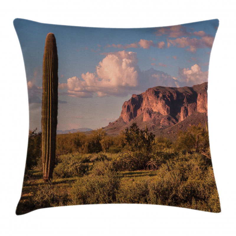 Mountain State Park Pillow Cover