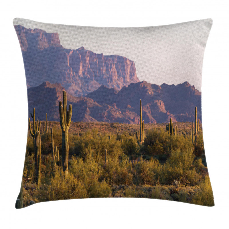 Cactus Mountain in Spring Pillow Cover
