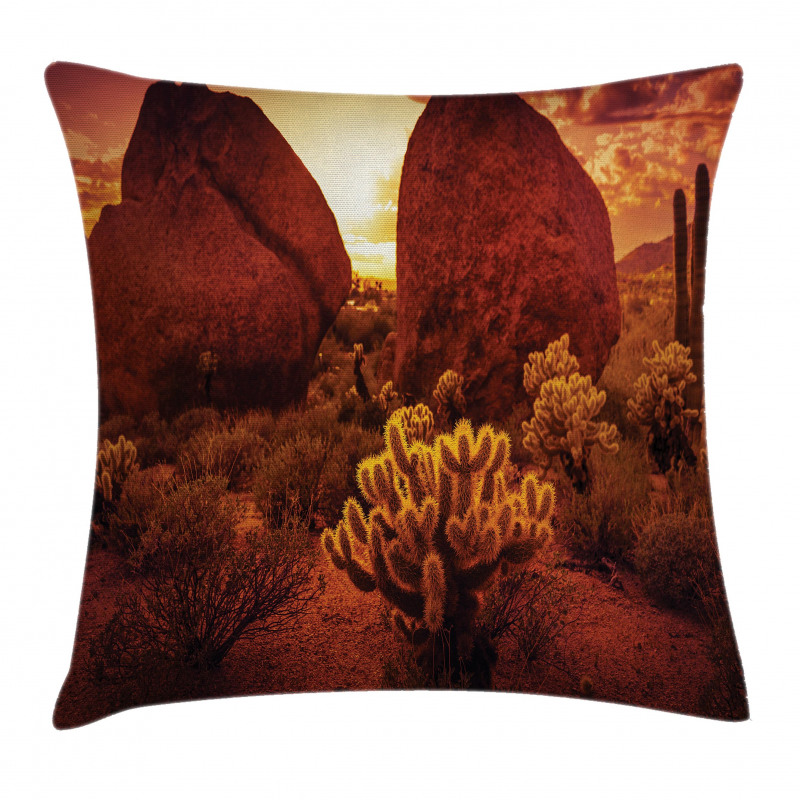 Cactus Rocks Desert Scenery Pillow Cover
