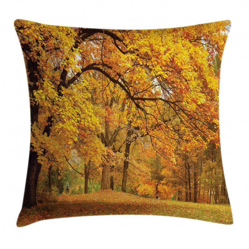Fall Pale Maple Trees Pillow Cover