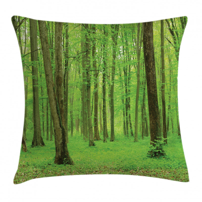 Forest in a Sunny Day Pillow Cover
