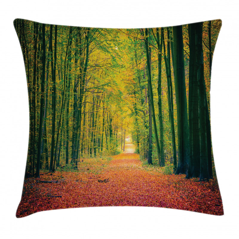 Warm Autumn Dramatic Road Pillow Cover