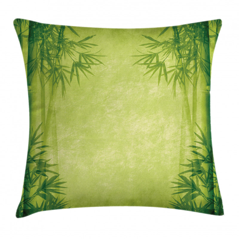 Chinese Fengshui Pillow Cover