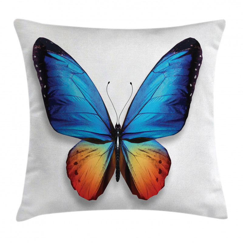 Cycle of Life Theme Pillow Cover