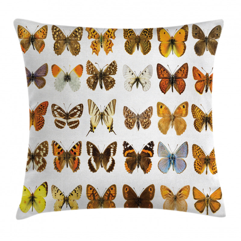 Butterfly Miracle Wing Pillow Cover