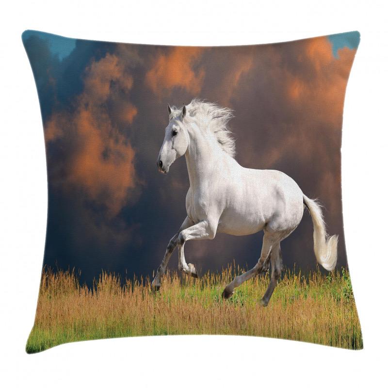 Andalusian Horse Dusk Pillow Cover