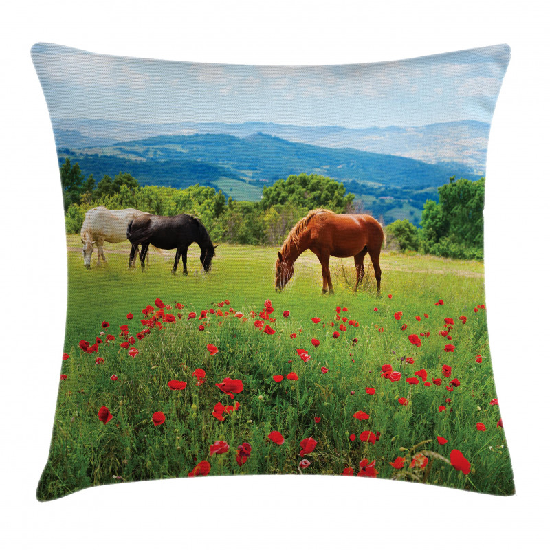 Landscape Rural Scene Pillow Cover