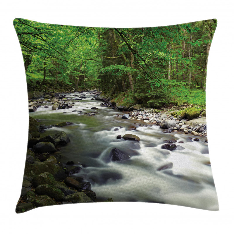Riverbed Rocks Trees Pillow Cover
