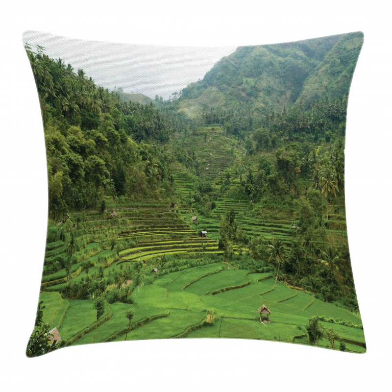 Rice Paddies Pillow Cover