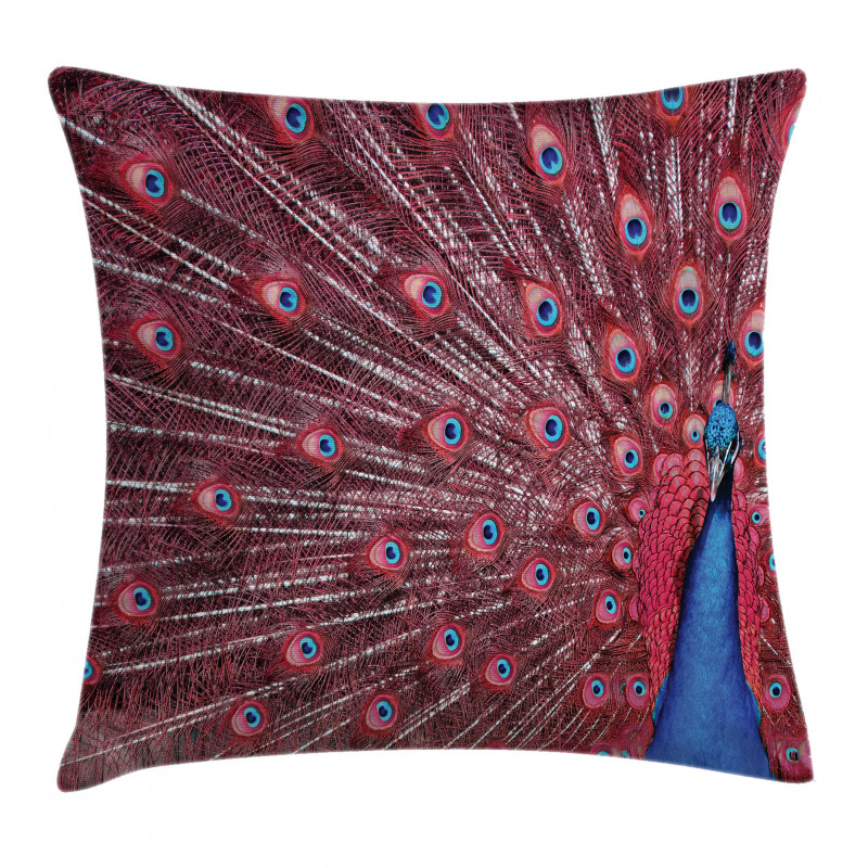 Peacock Bird Surreal Pillow Cover