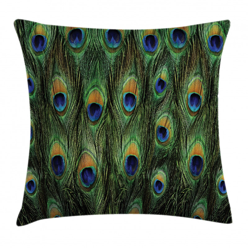 Exotic Animal Feathers Pillow Cover