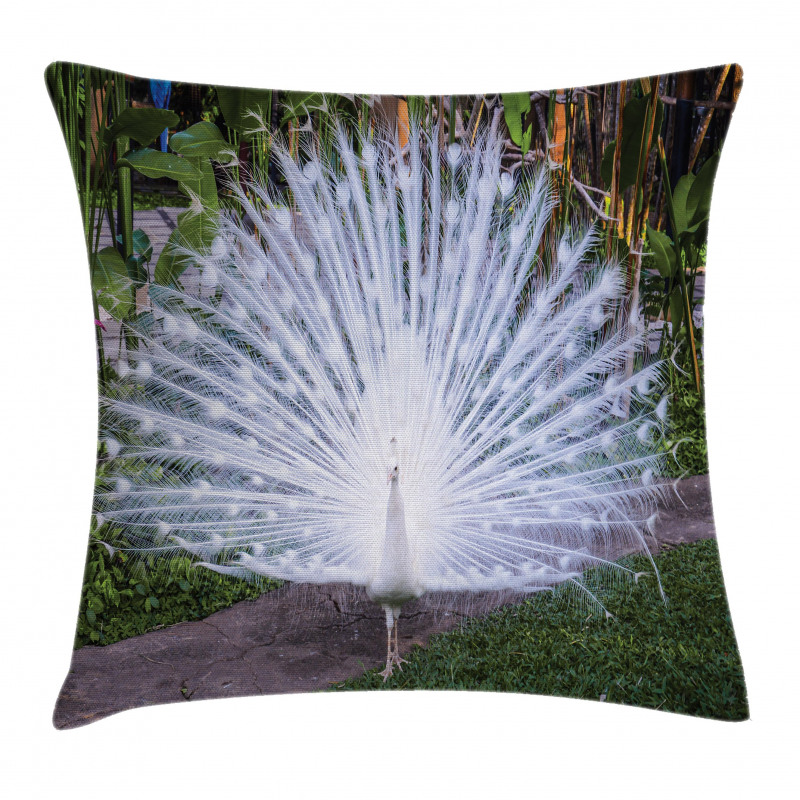 Tropical Garden Feather Pillow Cover