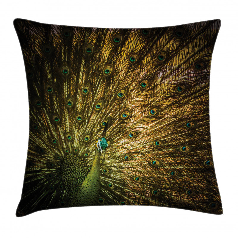 Exotic Dark Feathers Pillow Cover