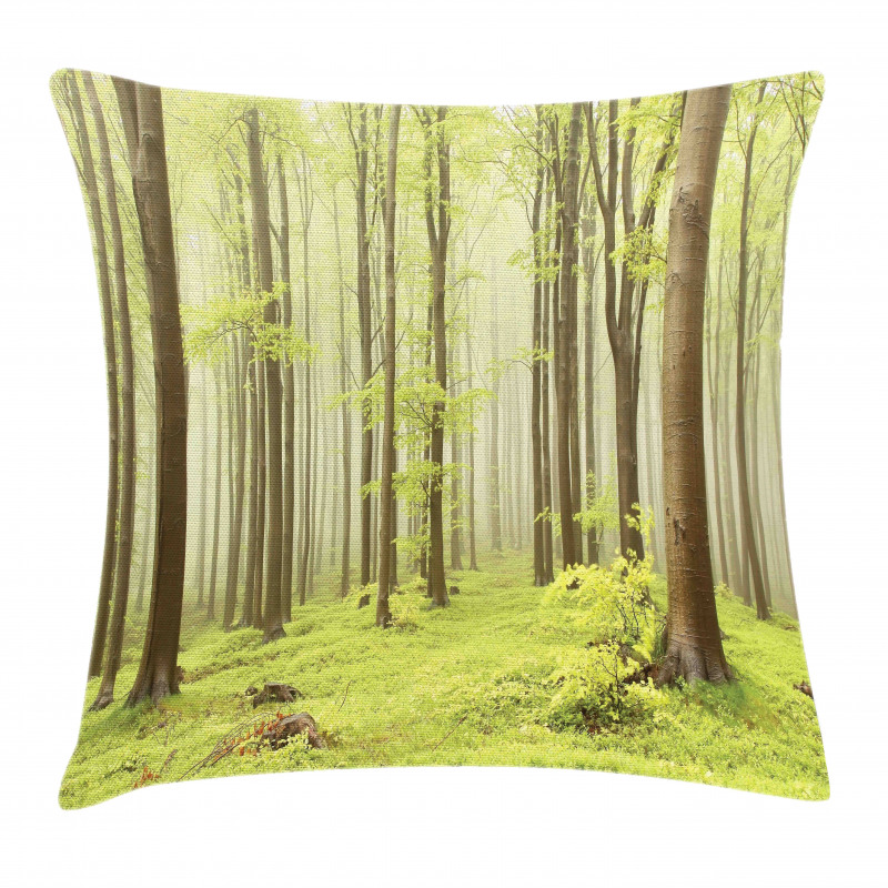 Misty Spring Nature Pillow Cover