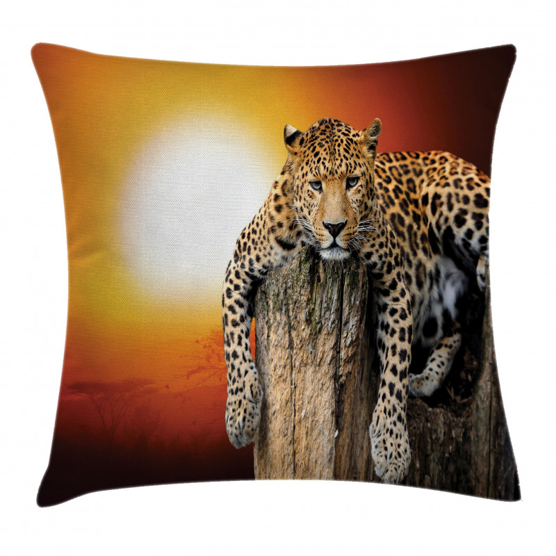 Safari Leopard on Tree Pillow Cover