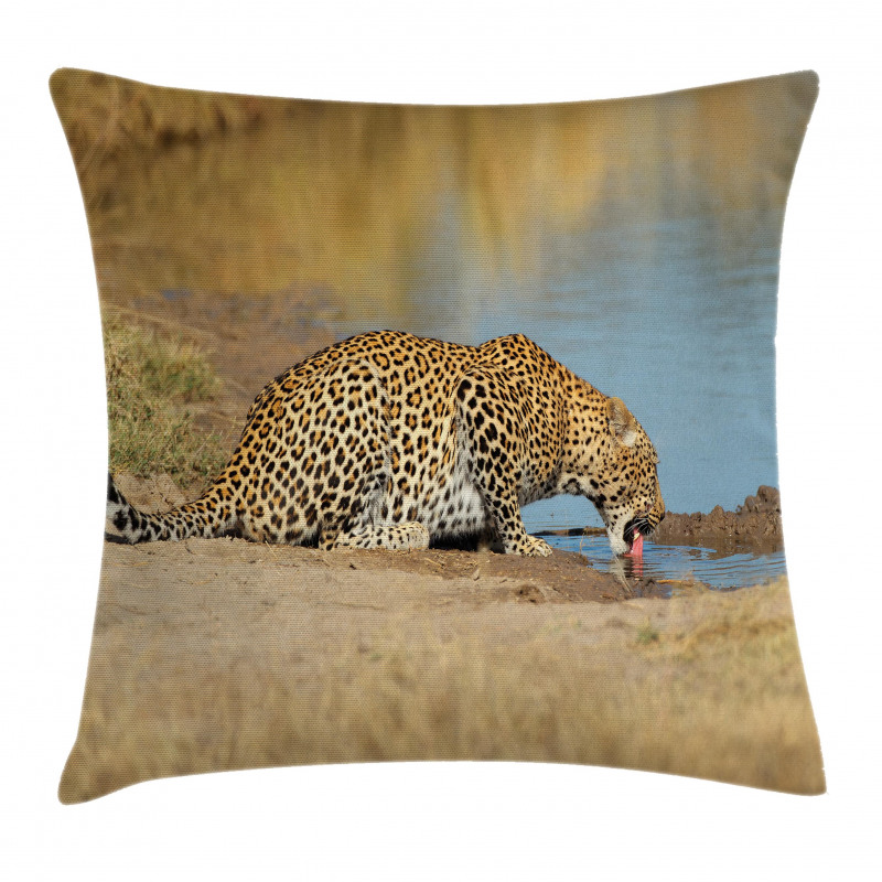 Leopard in Safari Pillow Cover