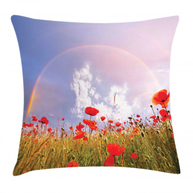 Poppy Flowers on Meadow Pillow Cover
