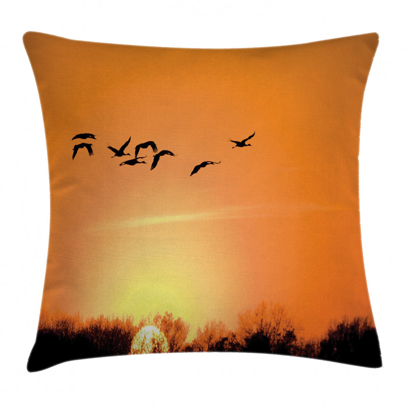 Migration Sunset Orange Pillow Cover