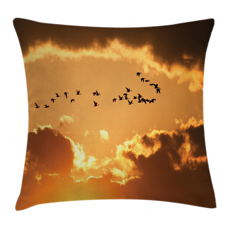 Flyingt Sunset Freedom Pillow Cover