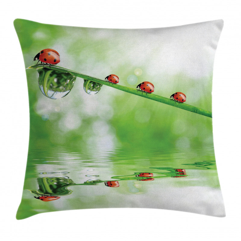 Ladybug on Water Image Pillow Cover