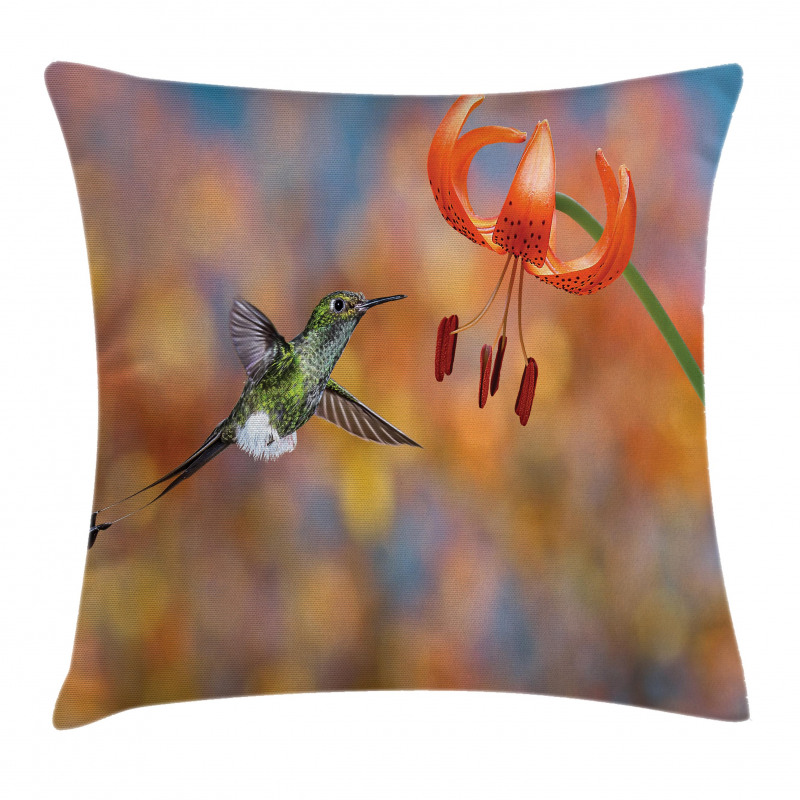 Racket Tail Lily Nectar Pillow Cover