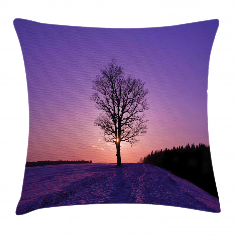 Oak Sunset Winter Time Pillow Cover