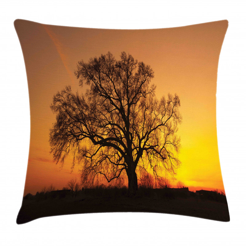 Old Oak at Sunset View Pillow Cover