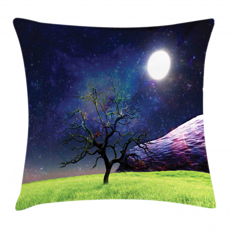Full Moon Galaxy Grass Pillow Cover