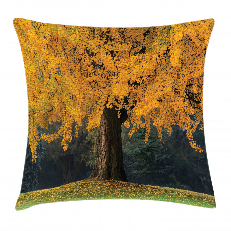 Leaves Tree Autumn Season Pillow Cover