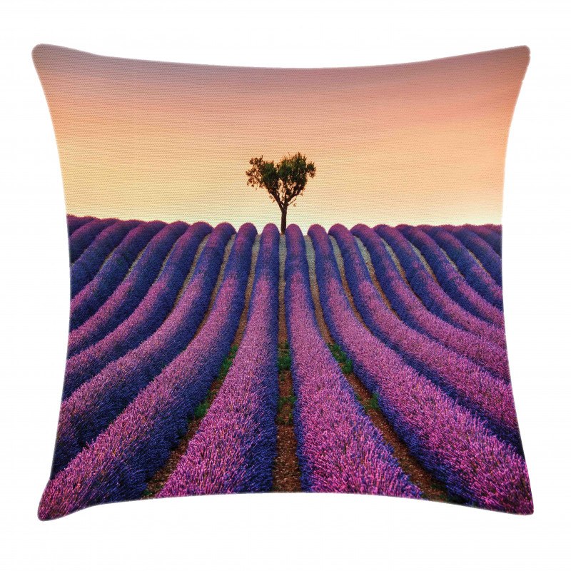 Lavender Flowers Field Pillow Cover