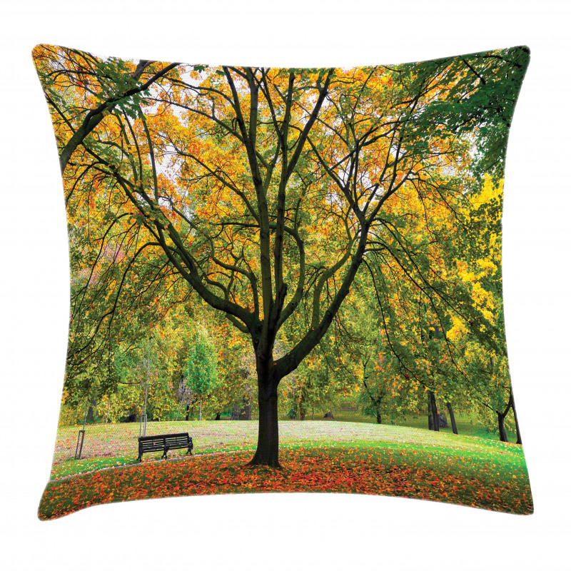 Autumn Park Leaves Nature Pillow Cover