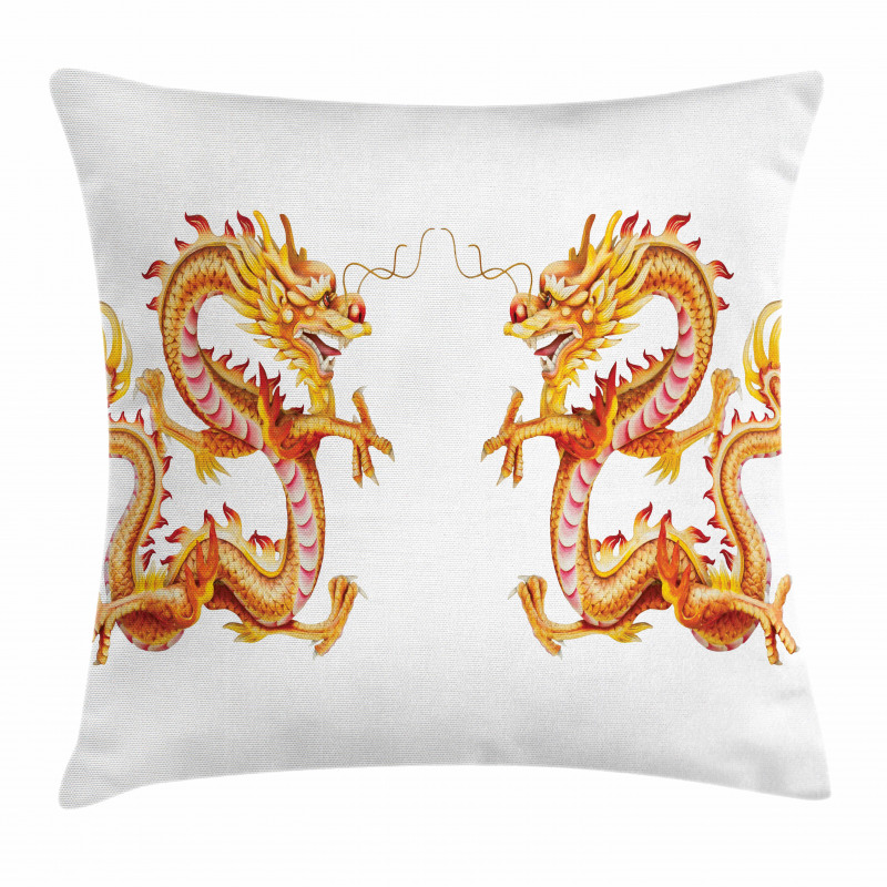 Chinese Philosophy Pillow Cover