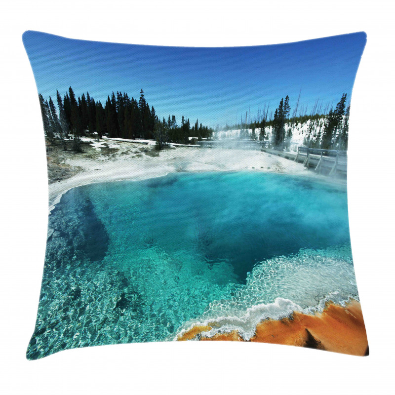 Snowy Forest Pool Pillow Cover