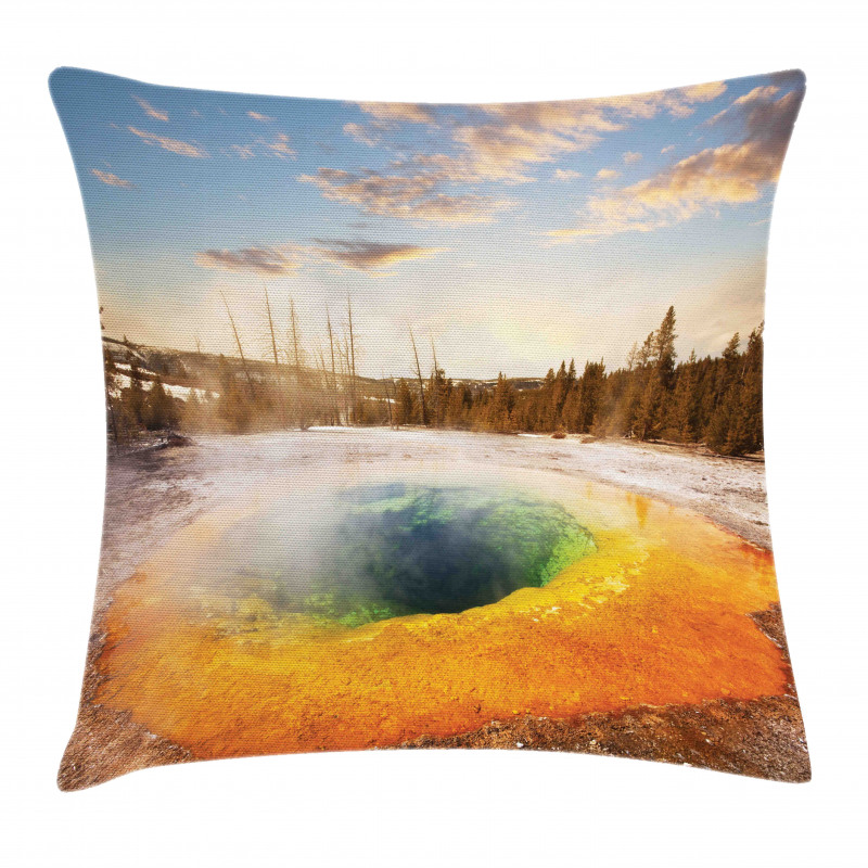 Morning Pool Park Pillow Cover