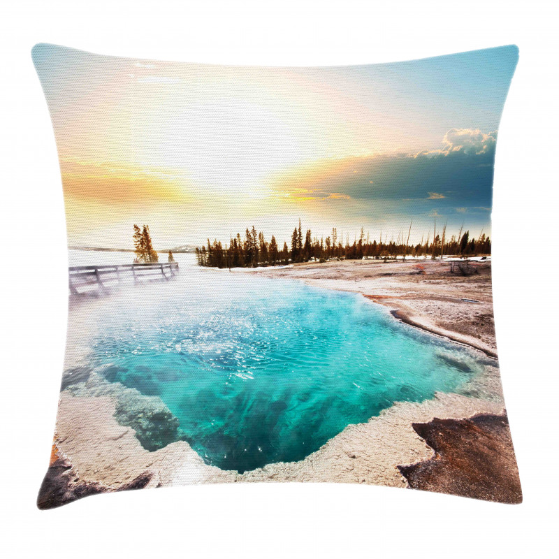 Park Earth Pillow Cover