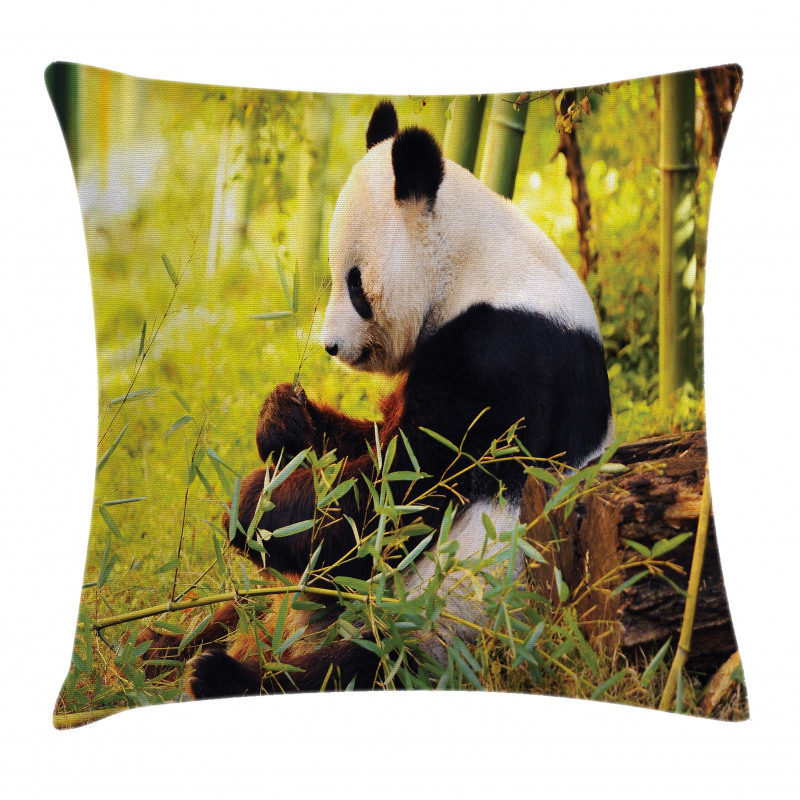 Panda Sitting in Forest Pillow Cover