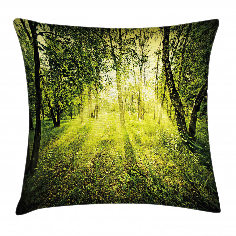 Scenic Morning in Nature Pillow Cover