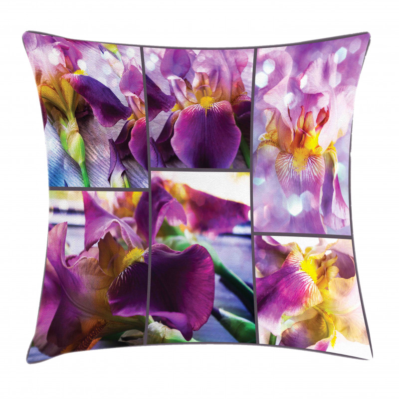 Blooming Iris Flowers Pillow Cover