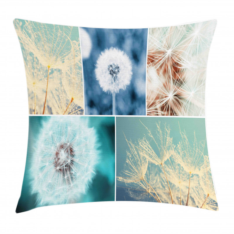 Dandelions Nature Pillow Cover